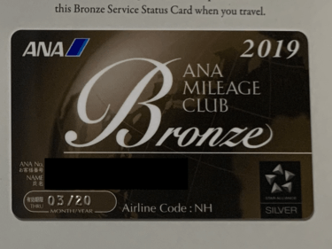 ANAのステータスカードを持ち歩く必要はあるか、その使い方とは。