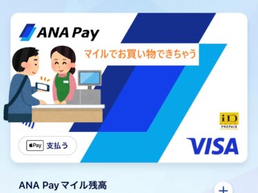 ANA Payはライトマイラーにも便利【少額マイル利用の究極型か】